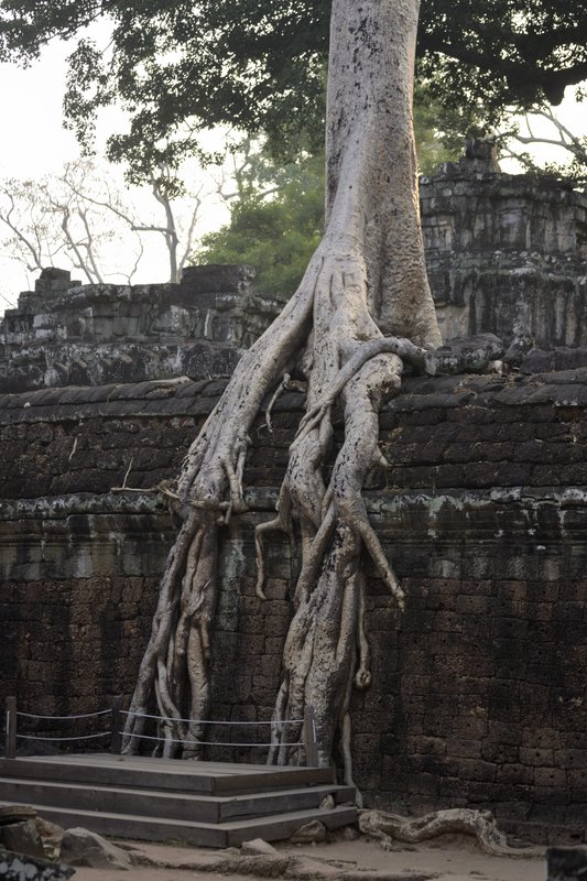 Angkor II. Circuito corto. - De la bahía de Halong a los templos de Angkor (5)