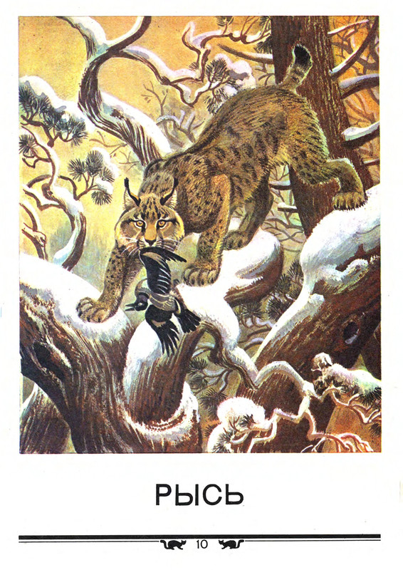 1987-page-0010