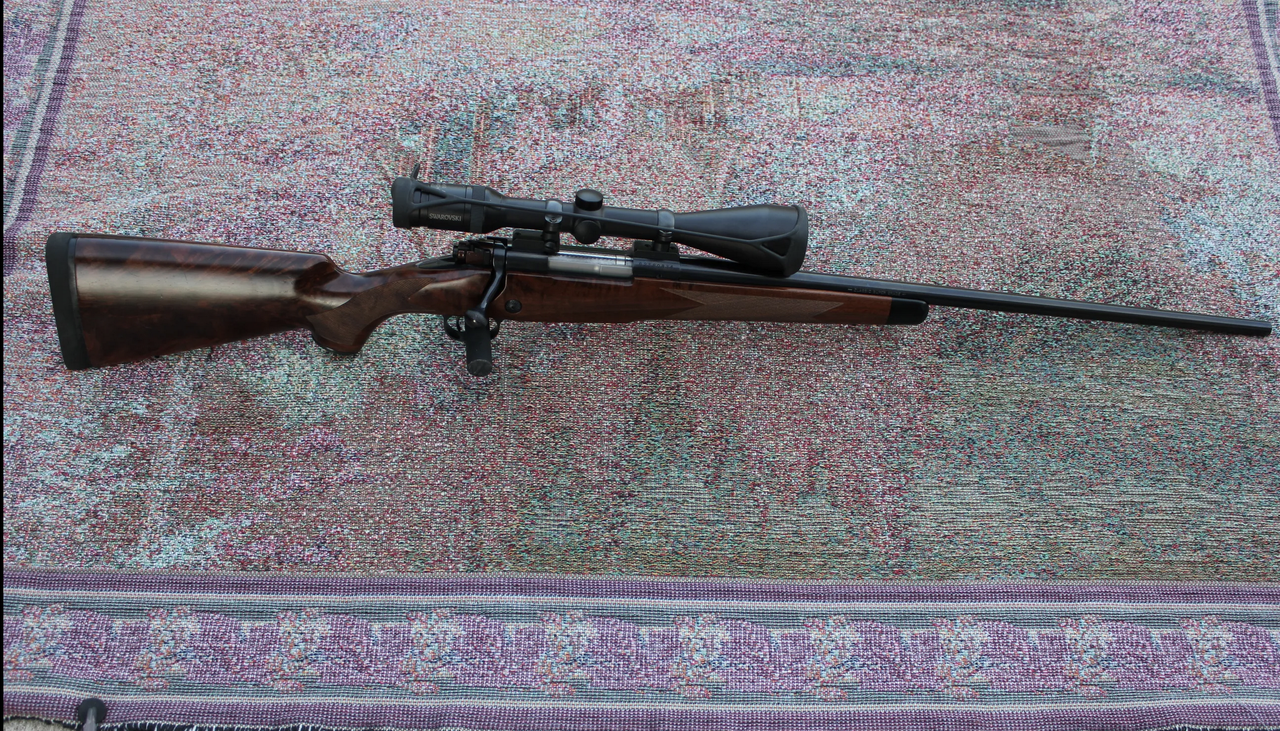 Screen Shot 2026 02 24 at 4 06 20 PM