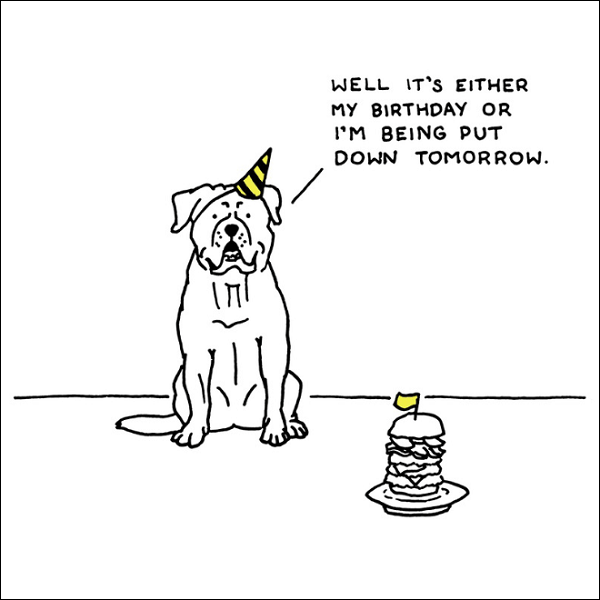 dog-birthday.png