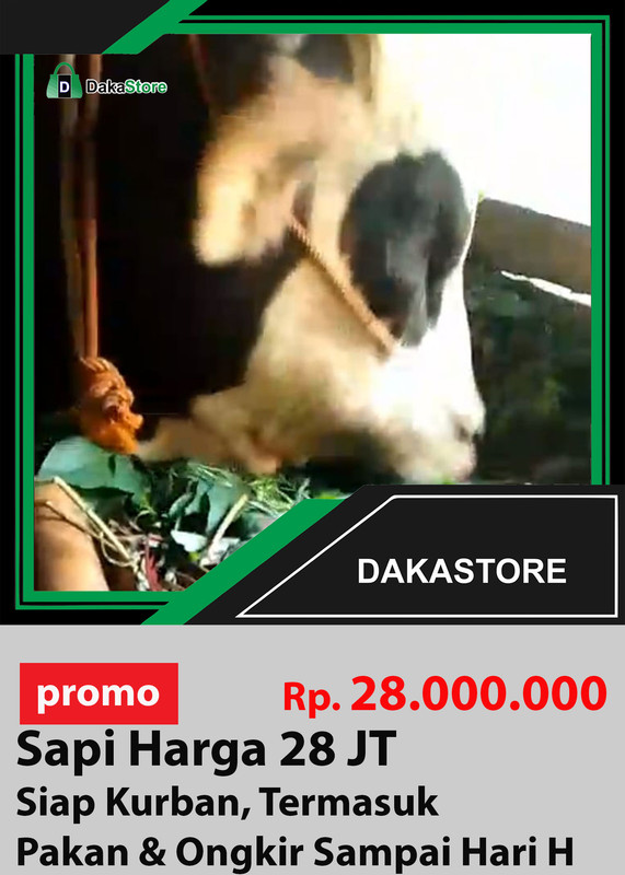 sapi 28 jt