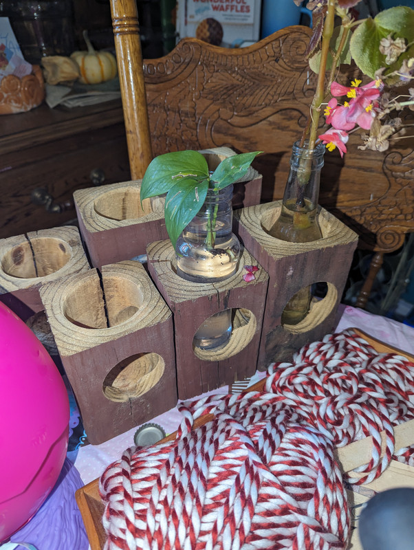 PXL_20250301_193925256