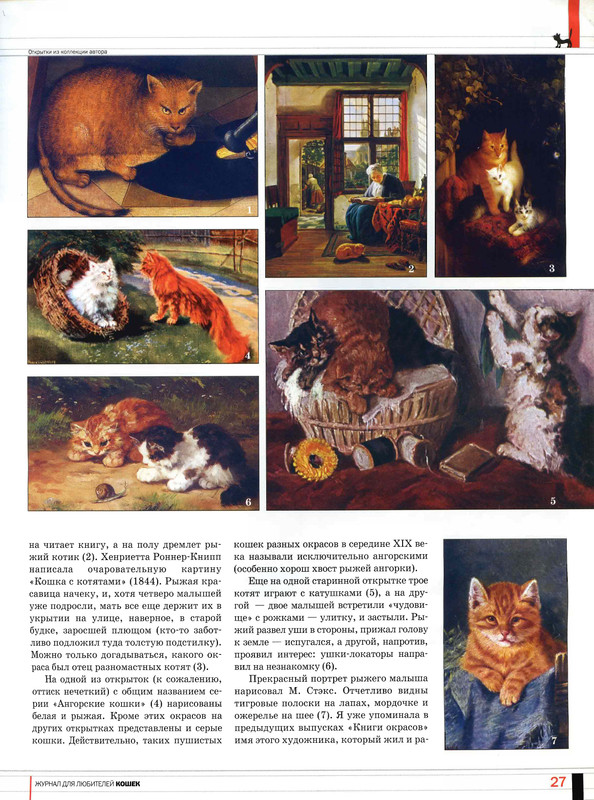Друг кошек 2005-10-27