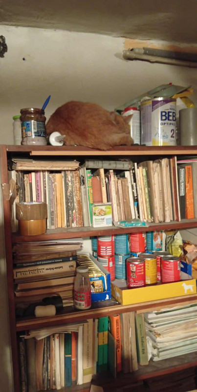 605552802 1492561502476211 1631246838631282469 n