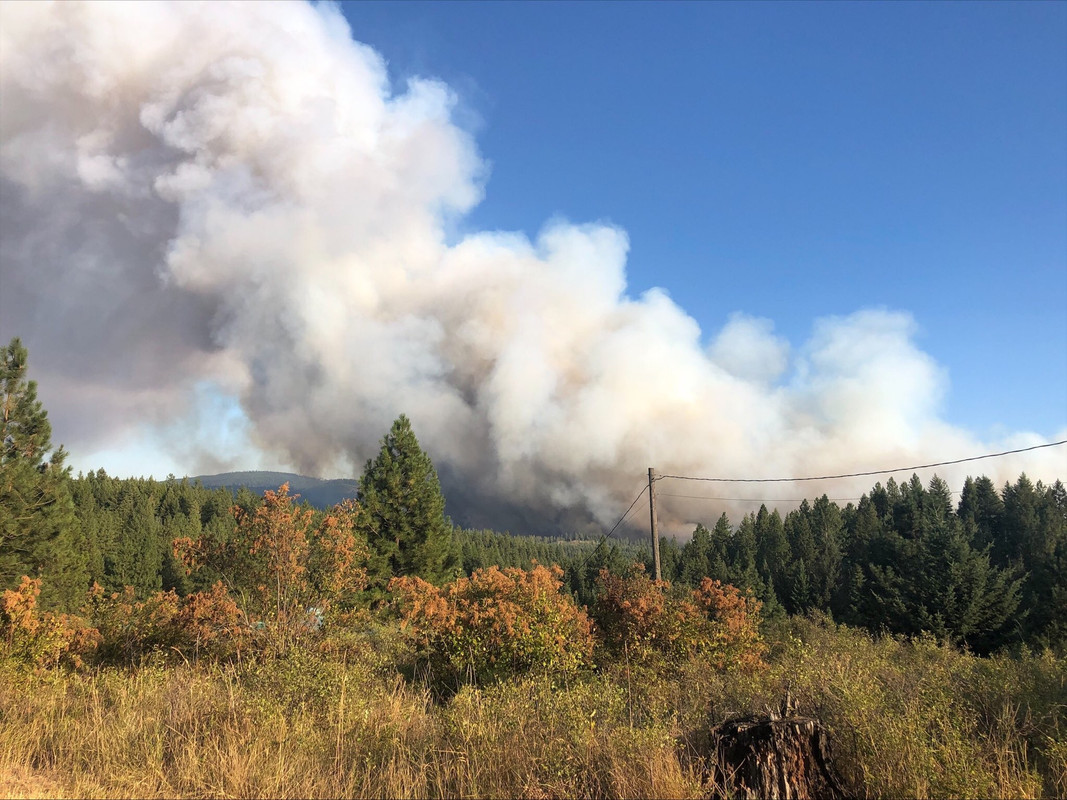 81A513D7-27E7-4A3B-9DF7-8764DE62DAFA