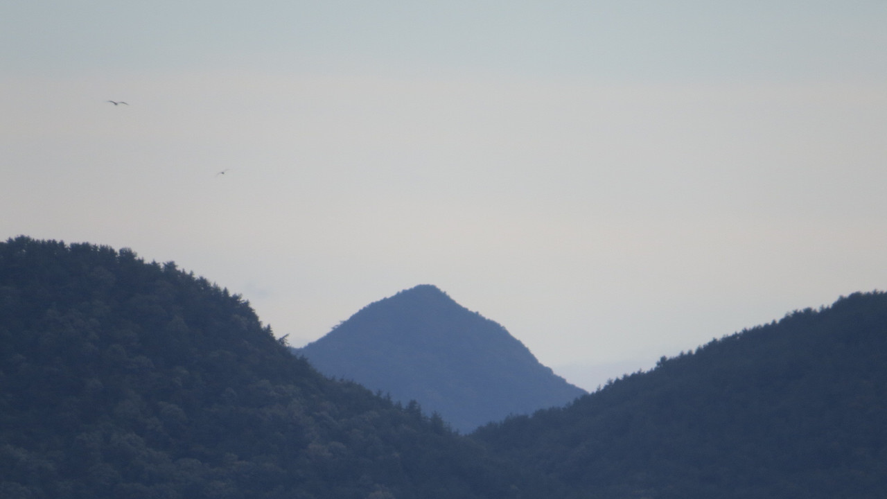 IMG-8775.jpg