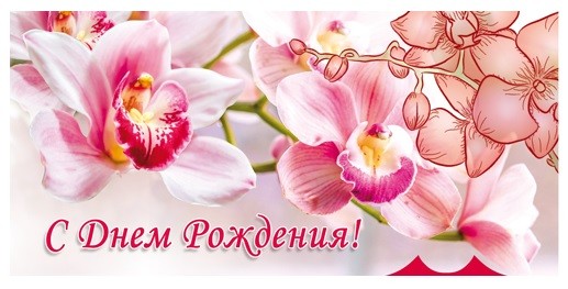 https://i.postimg.cc/MKZHJnmn/15540-970.jpg