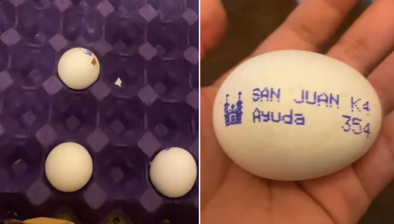 Localizan extraño mensaje de ayuda en huevos de reconocida marca