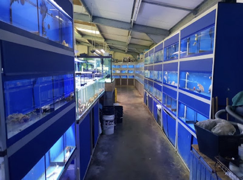 82665124-7382-4398-B3EE-3293104F0031