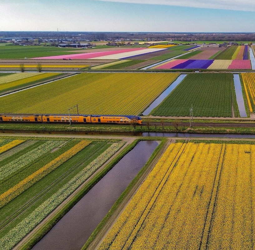 Screenshot_20240505_214145_Threads