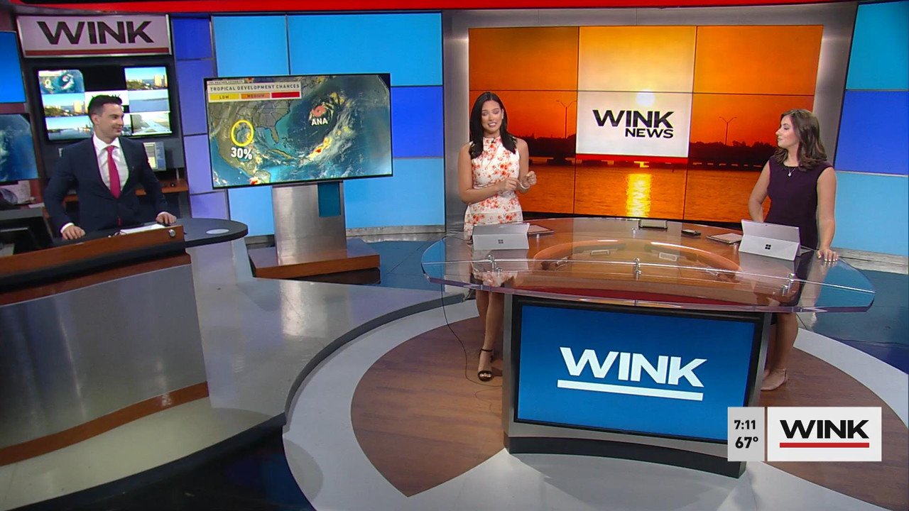 05.22 - 12.00.00 - WINK News at 7 00 a.m. Saturday..ts_snapshot_00.14.17_[2021.05.22_17.11.00]