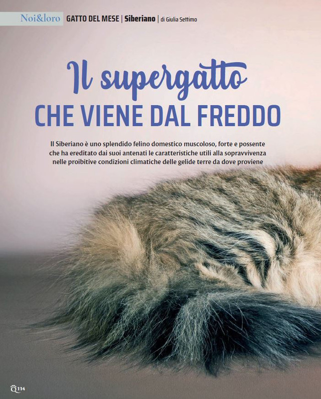 QuattroZampe Lug 2022 (11)