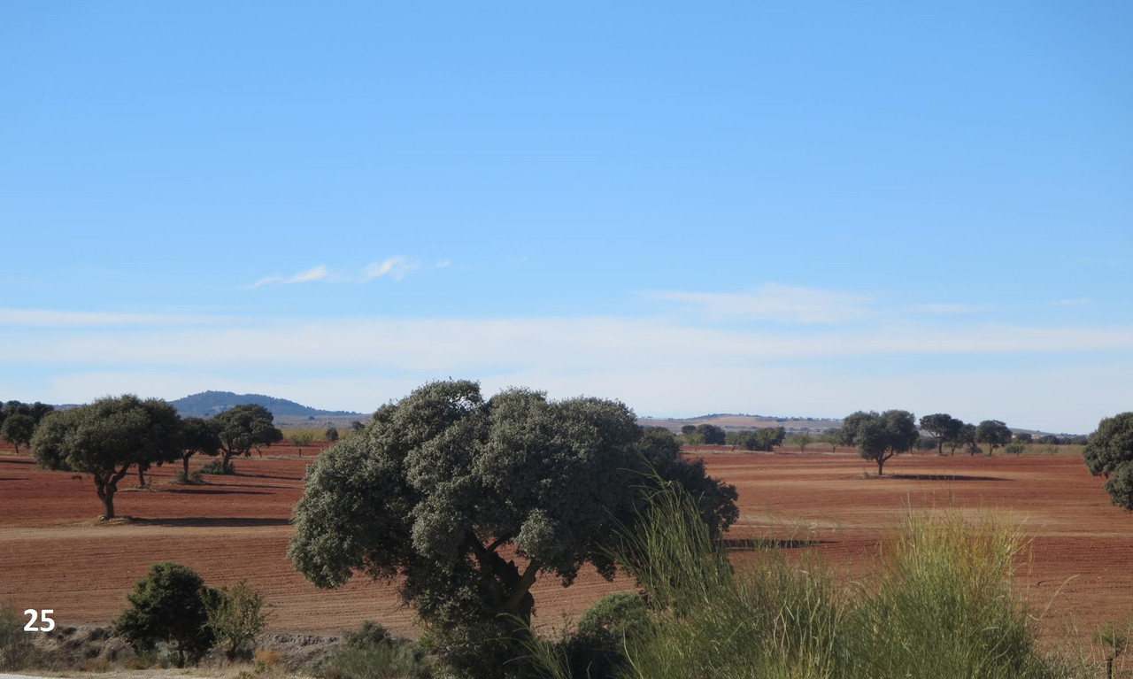 25 jbk The road from Oriua to Chirivel