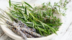 Herbalism Antiviral Herbs and How To Use Them