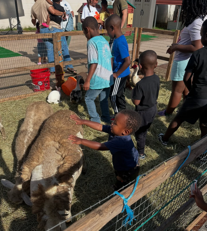 Petting zoo day at 1st Step Learning Academy