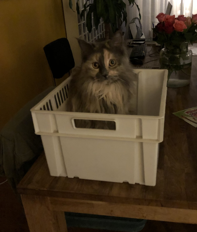 C404106D-FFFA-43C9-B8CB-01C7E693B001