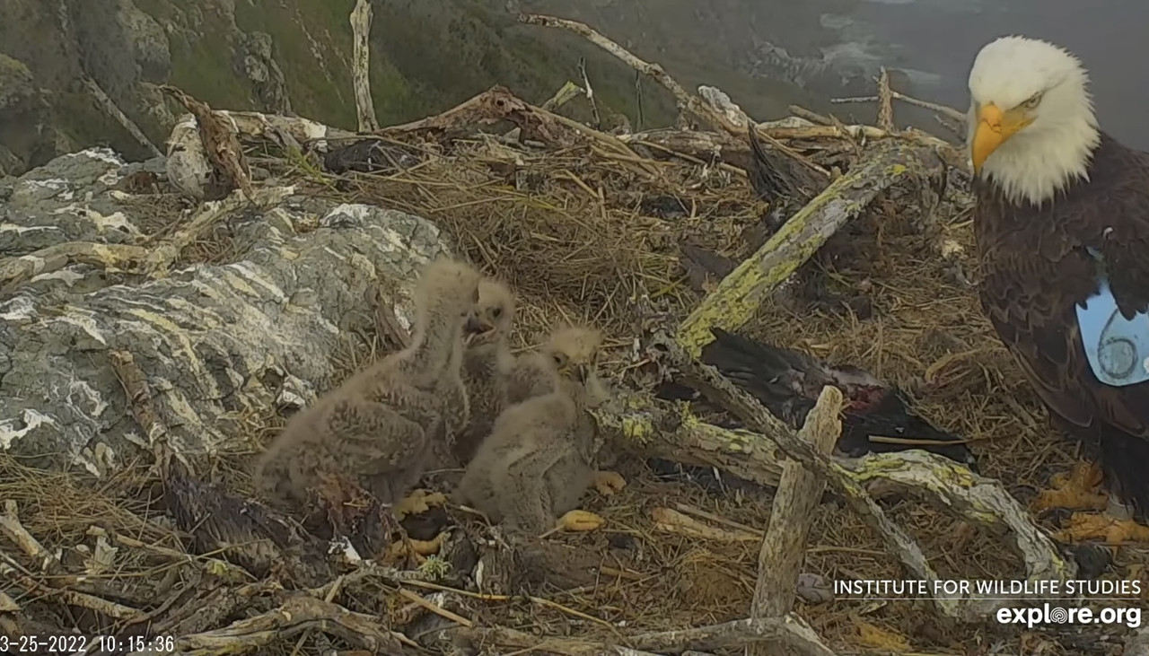 4277E92B-0B7A-4F53-B522-A03F2B28E1DE