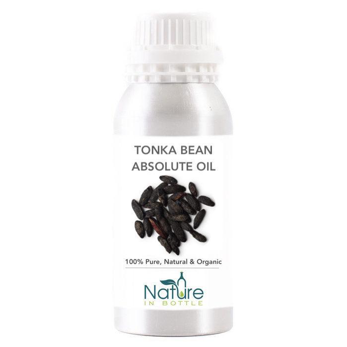 Tonka Bean Essential Oil, Packaging Size: 500 ml at Rs 2200/kg in New Delhi