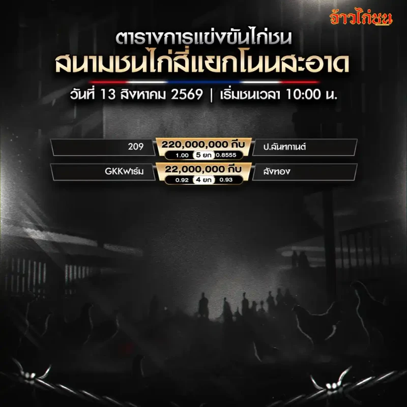 โปรแกรมไก่ชน สนามชนไก่สี่แยกโนนสะอาด 13 สิงหาคม 2569 ภาพรวมคู่แข่งขัน