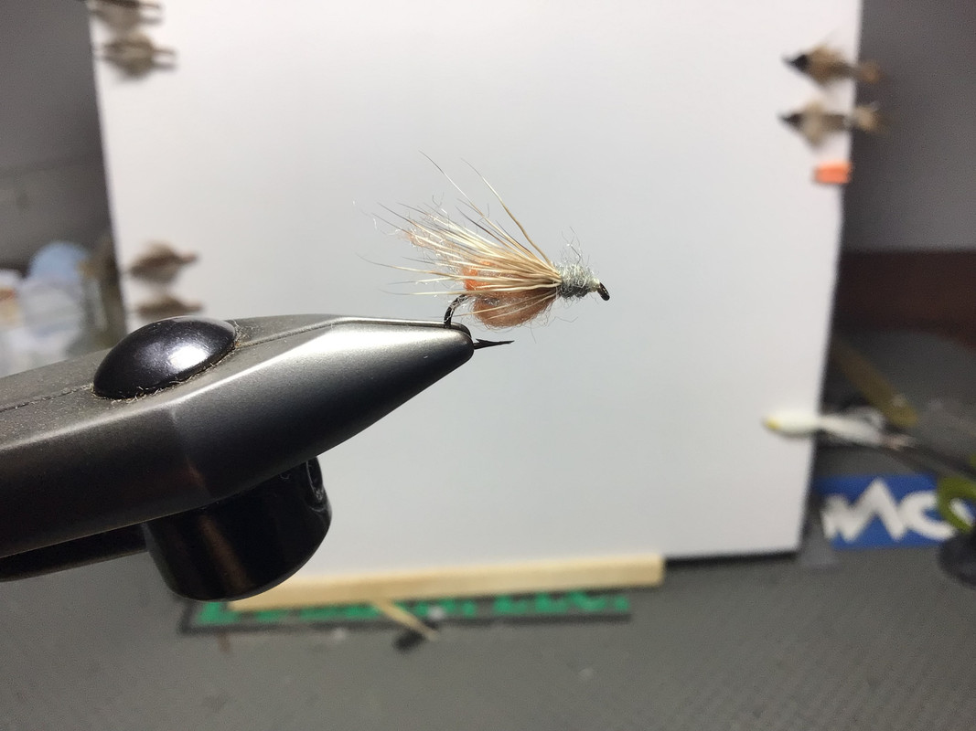 A02A54BB-A45B-4B56-A0FD-0230DA761316