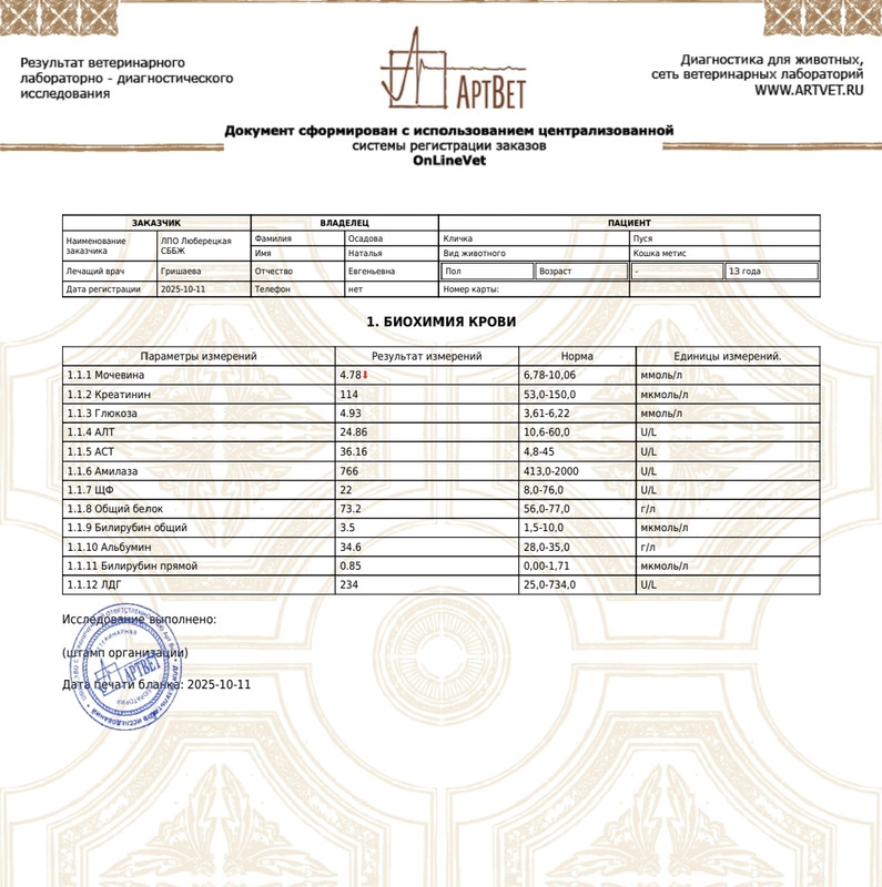 Screenshot 20251029 121407 Documents