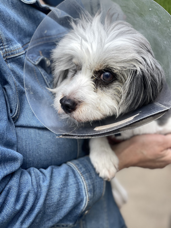 D9D67A62-C7B3-4CF6-BB06-6A1E27B780DD