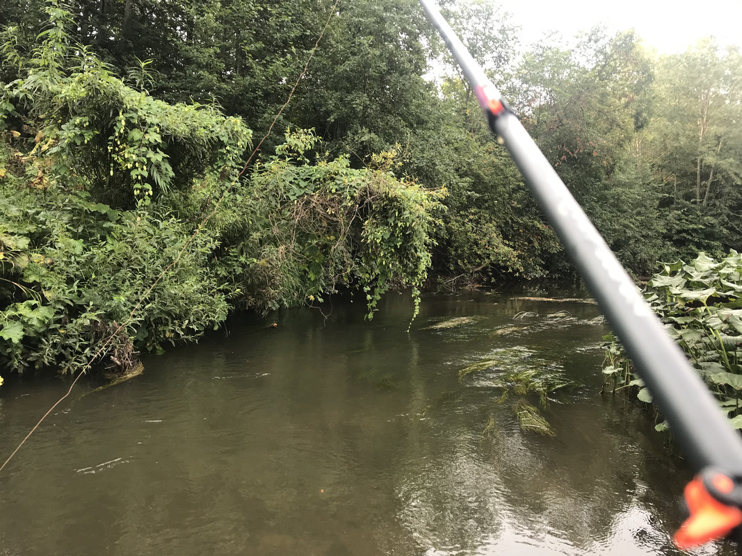 3DDCBDFF-415D-4189-A7BB-05CE9A0DA471