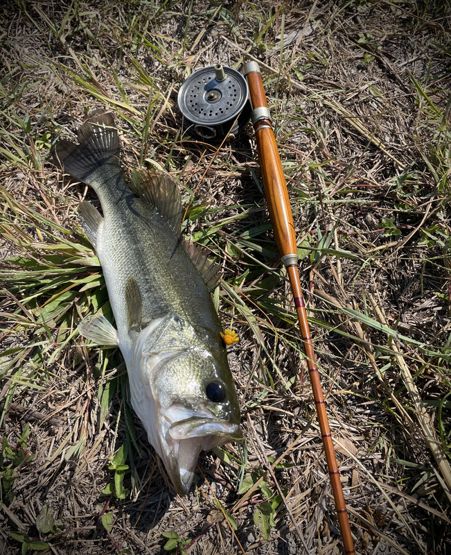 BCE02F54-2128-4D4C-982C-589023612A52