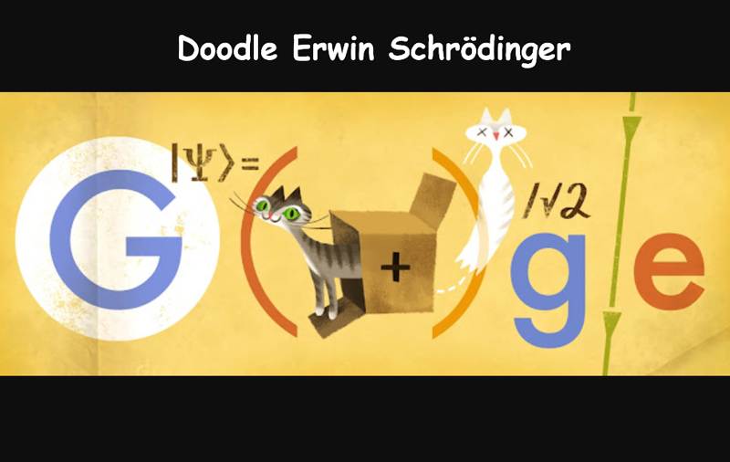 Google Doodle dedicato a Schrödinger