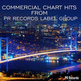 Commercial Chart Hits From PR Records Label Group (2019) .mp3 - 320 kbps