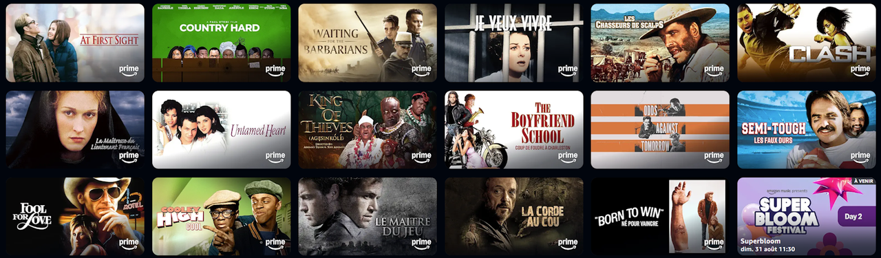 https://i.postimg.cc/MKbw21XM/AMAZONPRIMEVIDEO.png