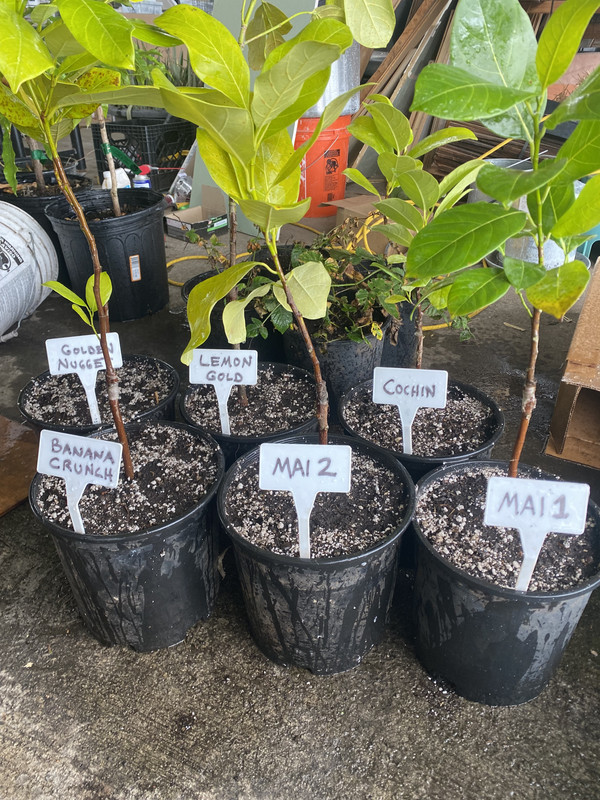 657E5DDE-6FF3-41D0-AD8C-2C2E83BA5356