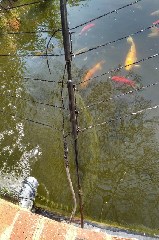 IMG_20180422_1352003