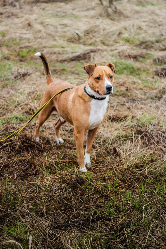 без имени-1233