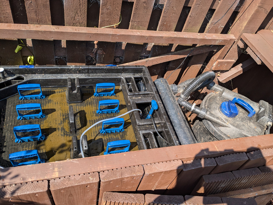 PXL_20240717_101913540