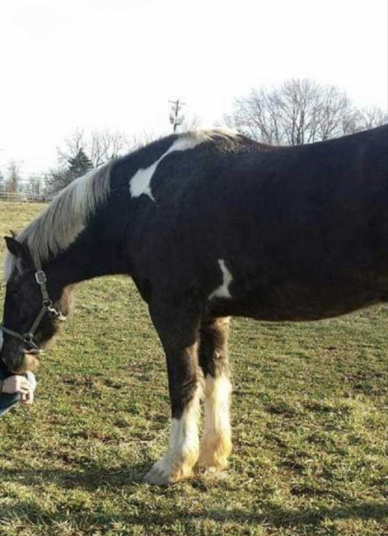 83BBA2E6-F905-425C-84C9-0EBA7B9CE72C