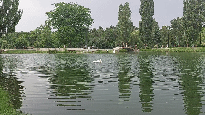 20210622-141232-1.gif