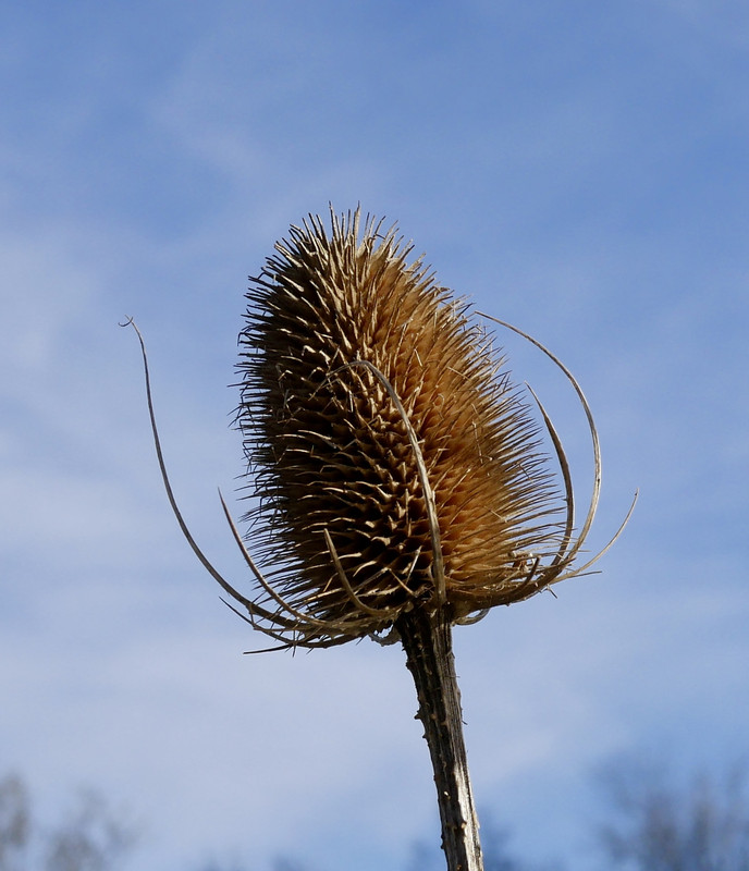 33364869-C31A-41A8-9440-209C9EA4E184