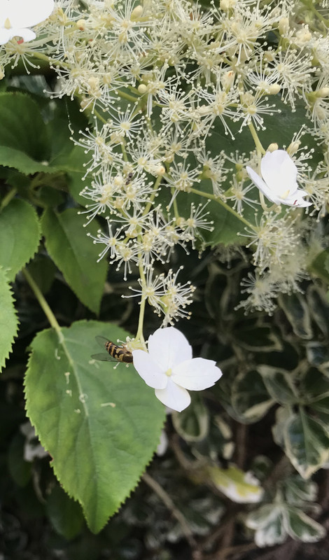 D1E07ABE-F53D-419B-B569-69FBFDDA6317