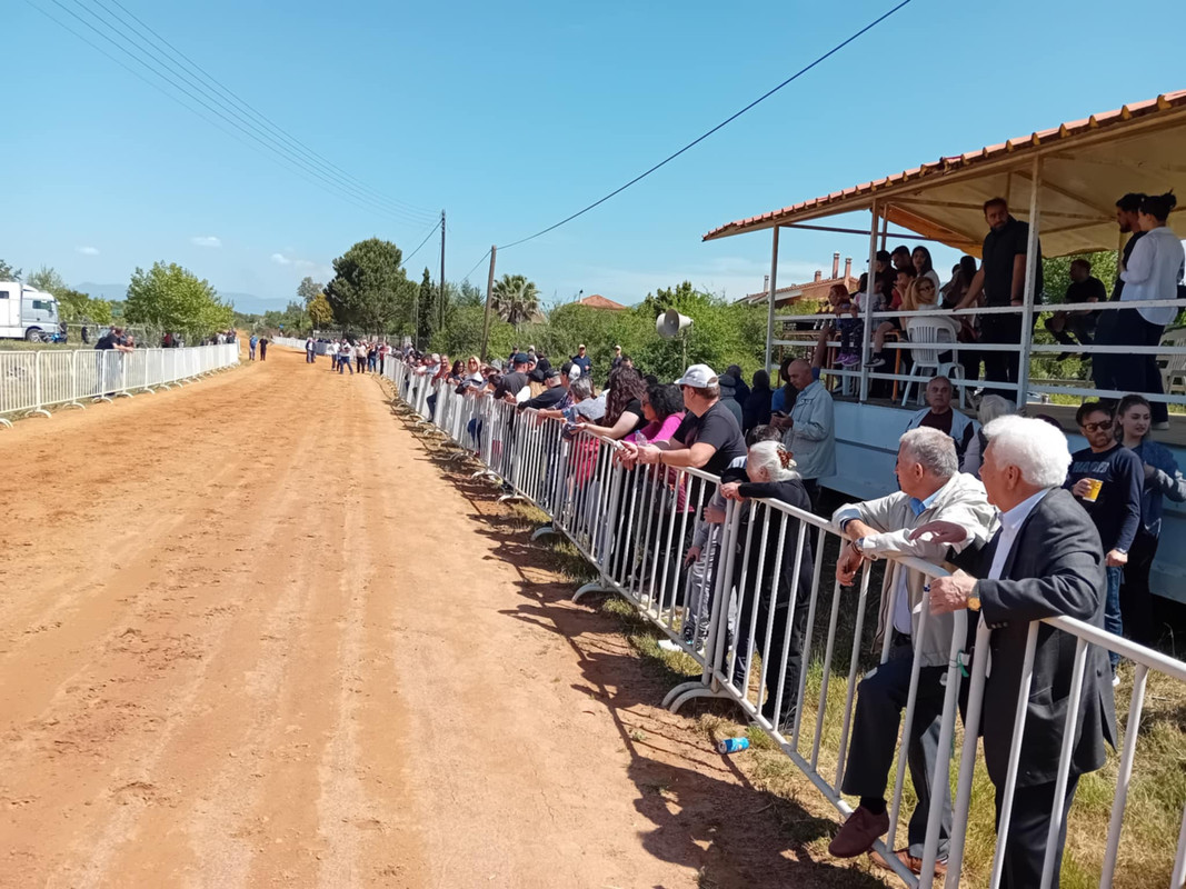 ιπποδρομιες-πλατυ-2025-2