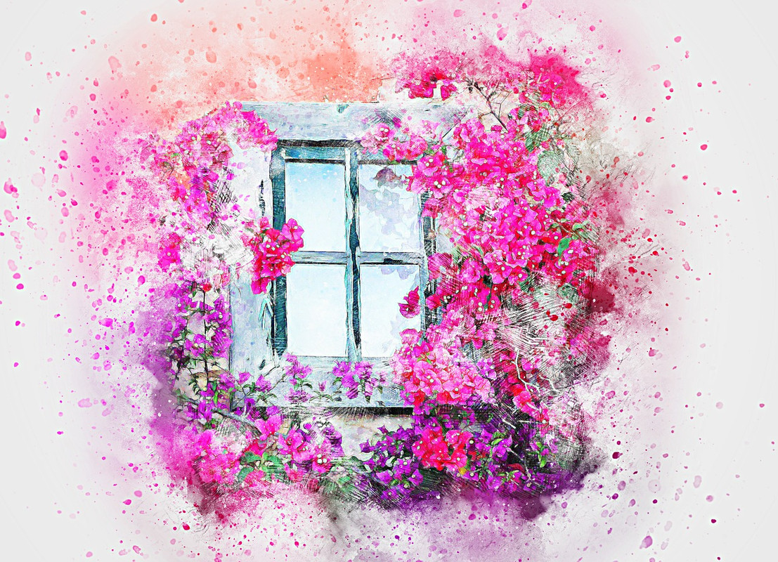 pink-window-2638837-1280.jpg