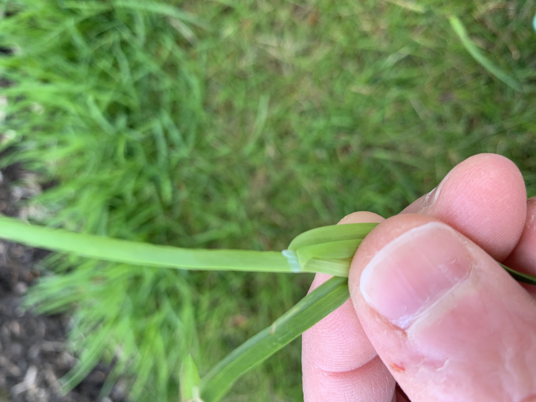 Photo Mar 24, 4 28 45 PM