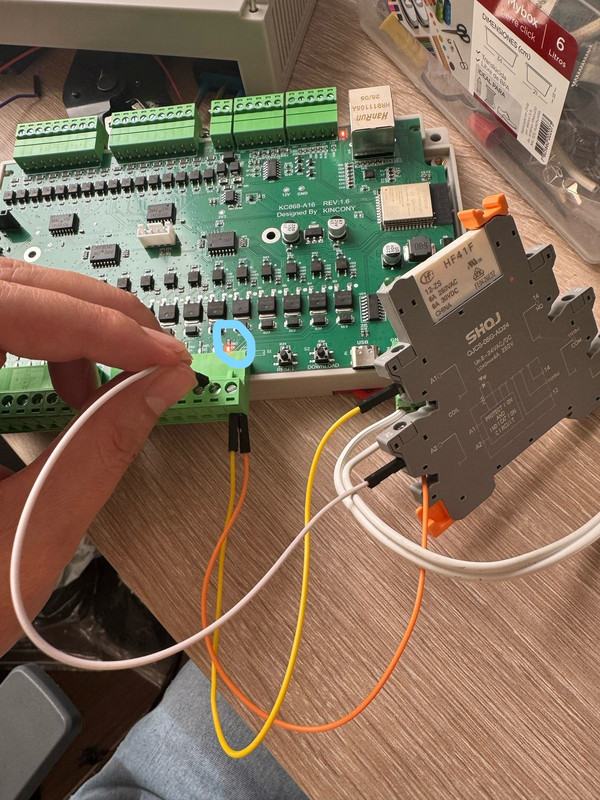 [Image: Inked-Whats-App-Image-2025-03-17-at-17-16-49-1-LI.jpg]