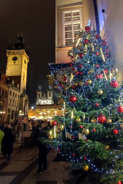 La pinacoteca del Castillo, la Galería Nacional y más Mercados de Navidad - Viena - Bratislava - Praga, Navidad 2024 (153)