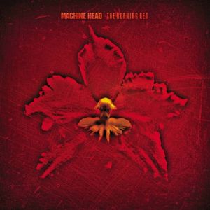 Re: Machine Head