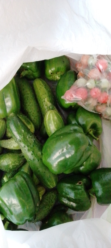 IMG-ecc174f4481bb784068b0498cf84893b-V (1)