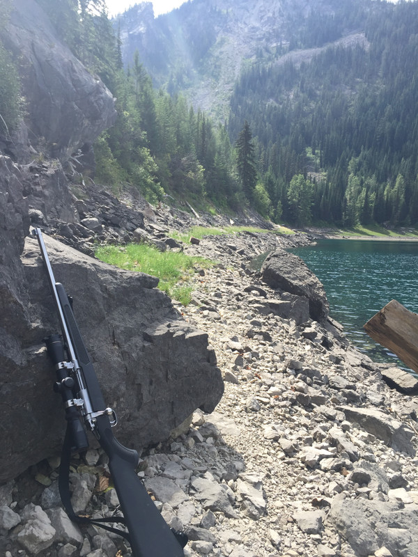 8629D755-48CE-4745-856B-35B1FCA86EF1