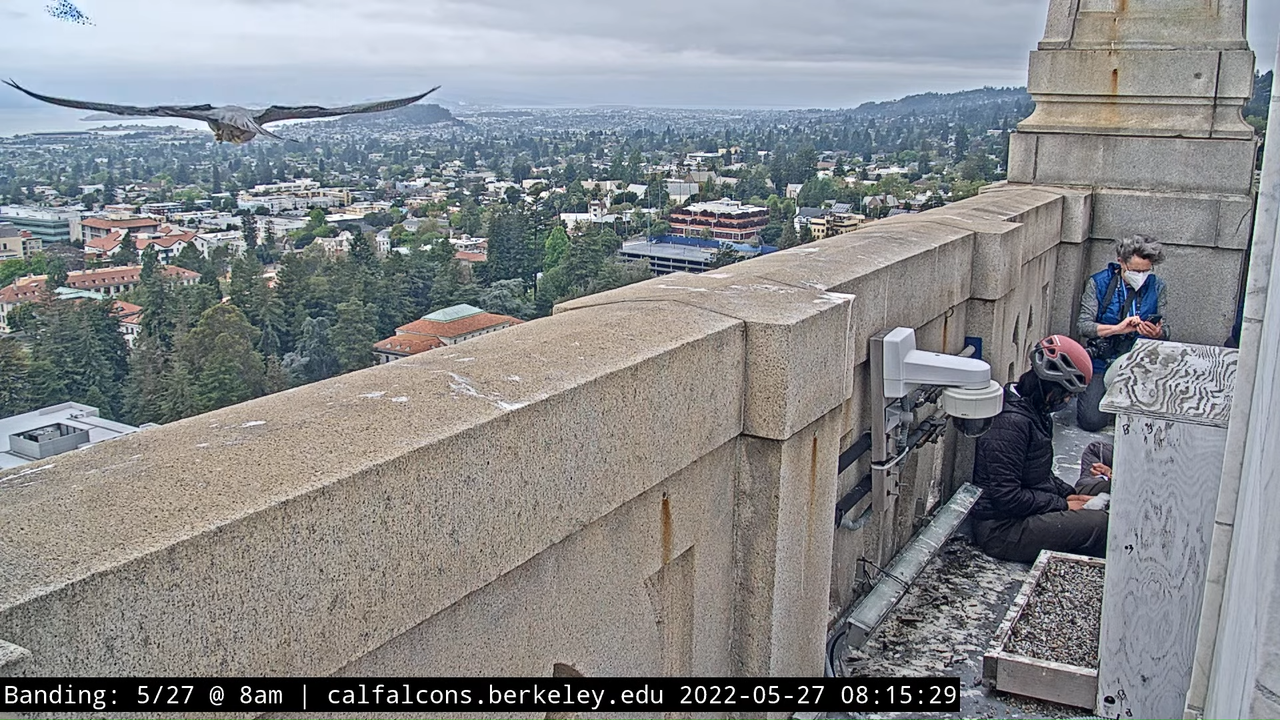 5-27-22 Banding (Raw West Footage) 5-39 screenshot