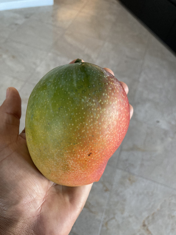 BBC969C8-8C72-495C-80DE-54F05CCDF766