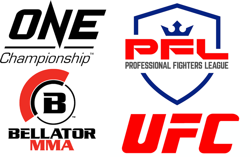 UFC продължиха да доминират и през 2024 г.